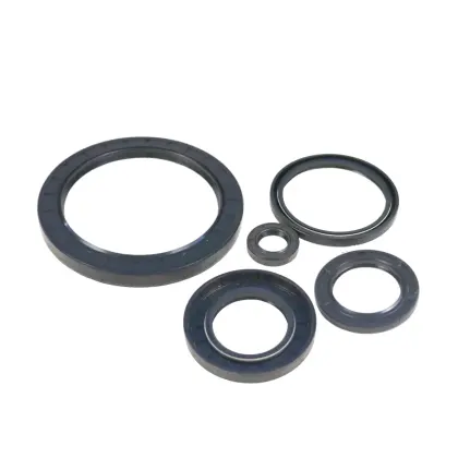 Pierścień uszczelniający Simmering 25x55x10 NBR 24547