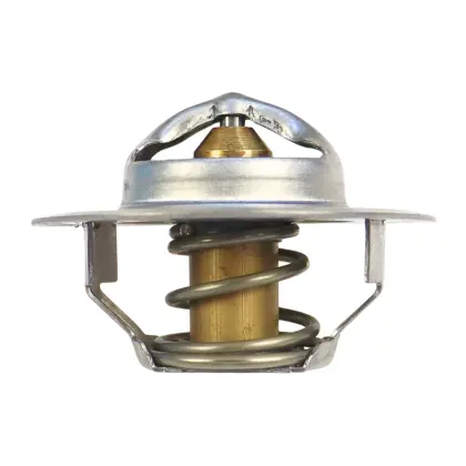 Termostat FORD 83916917 25808