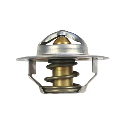 Termostat FORD 83913835 25809