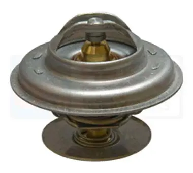 Termostat Case 162000060702 25819