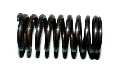 Sprężyna zaworu wewnętrzna do T-25 28439